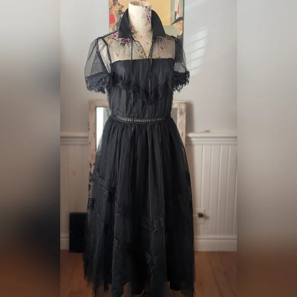 Elegant Black Sheer Dress - Picture 8 of 10